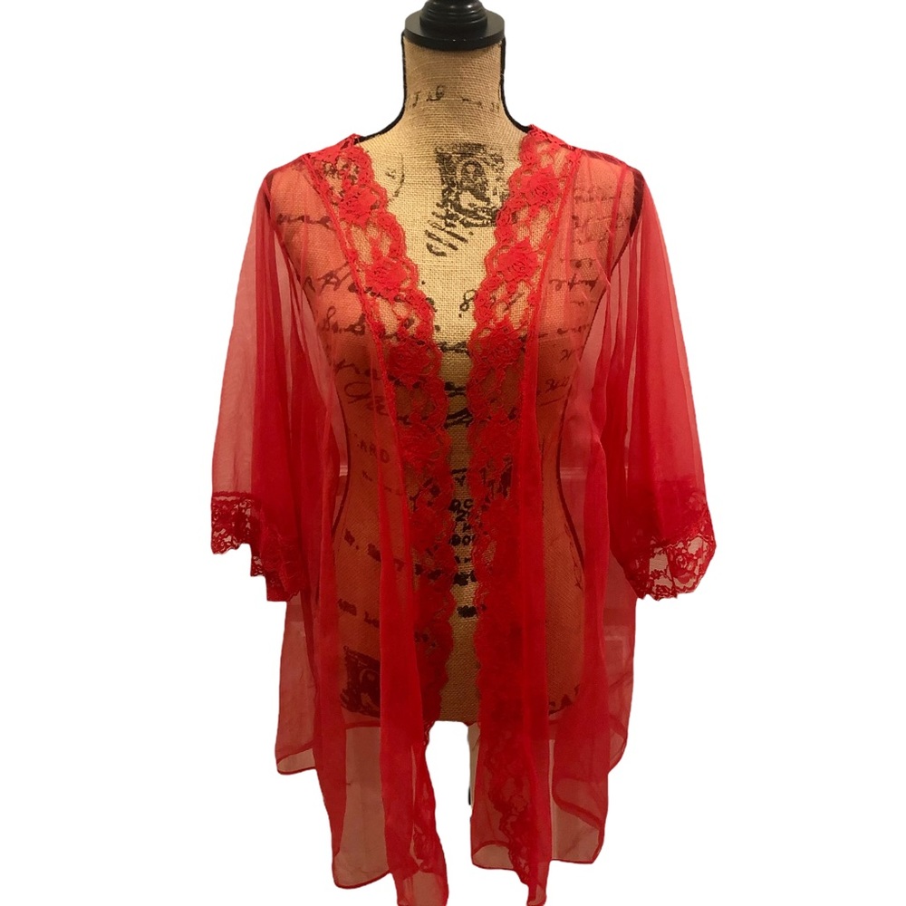 Vintage Pandora Sheer Duster Robe Size Large